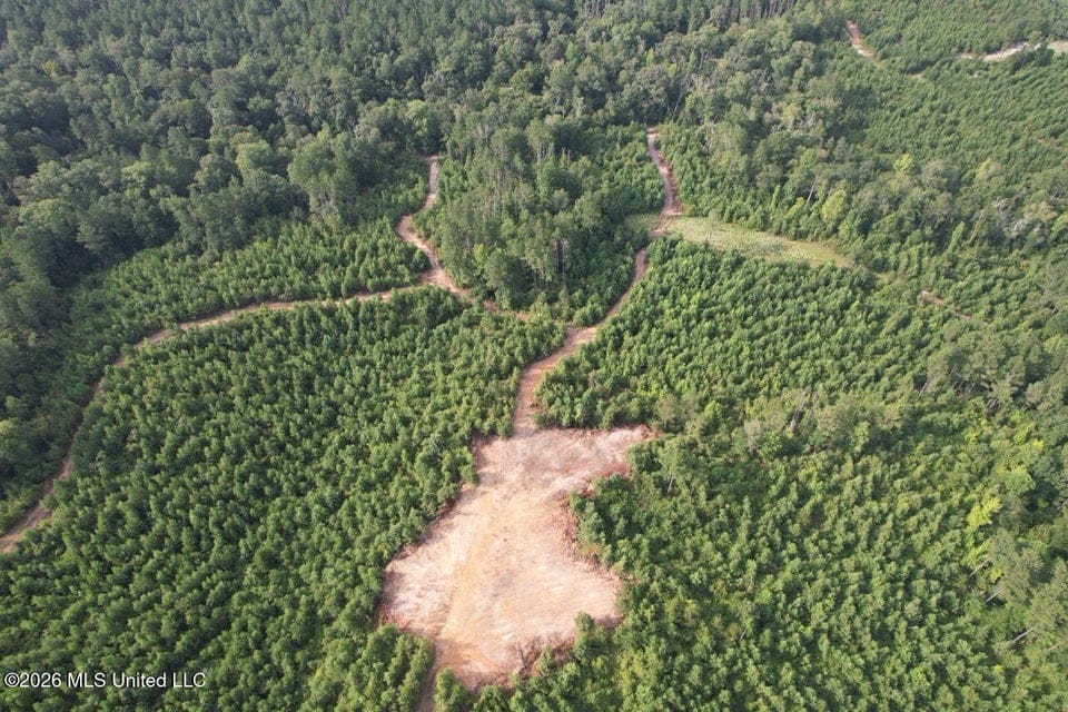 90± Acre Hunting Tract for Sale in Meadville, MS