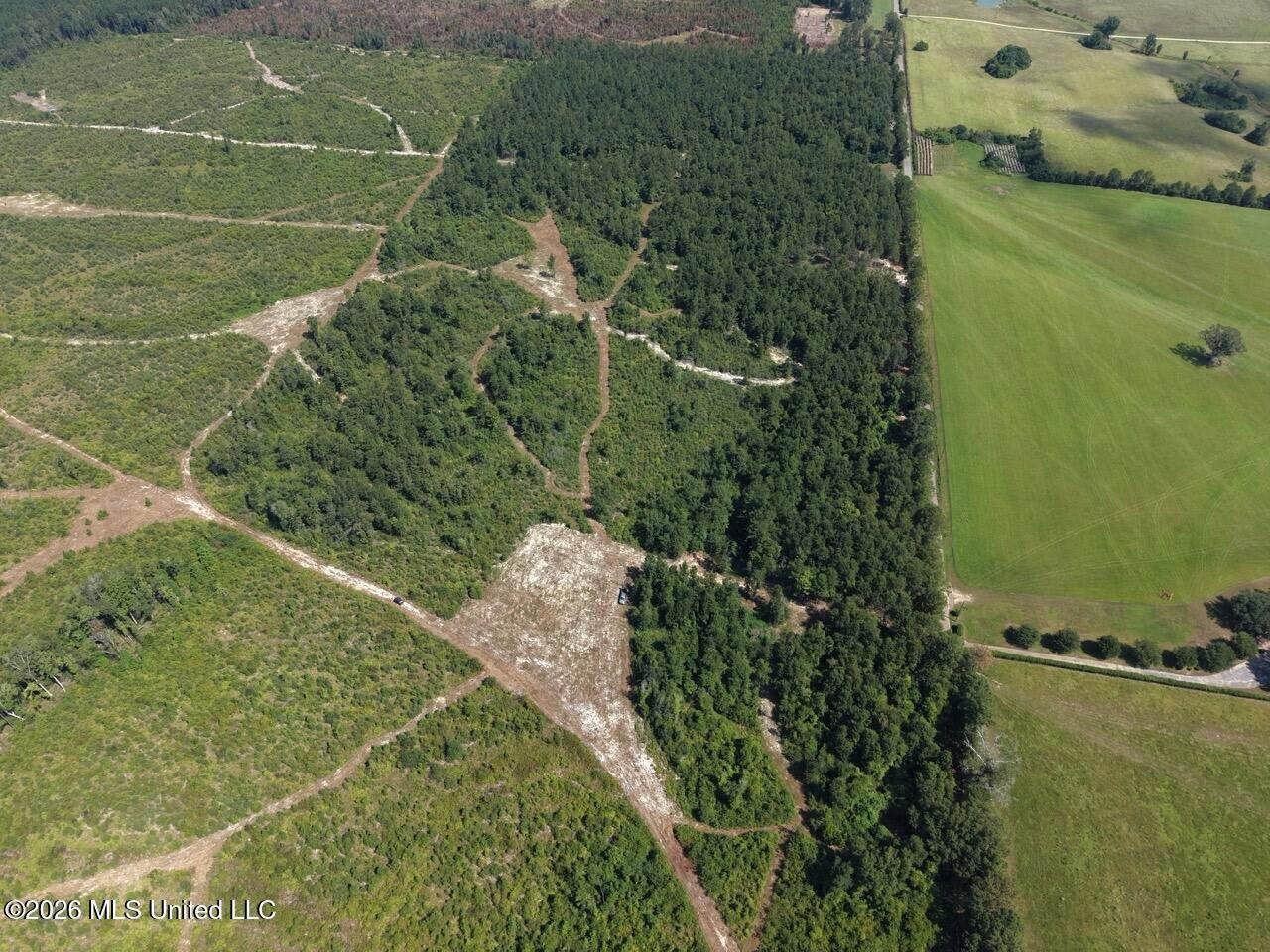 42± Acre Homesite & Hunting Land in Plainview, LA