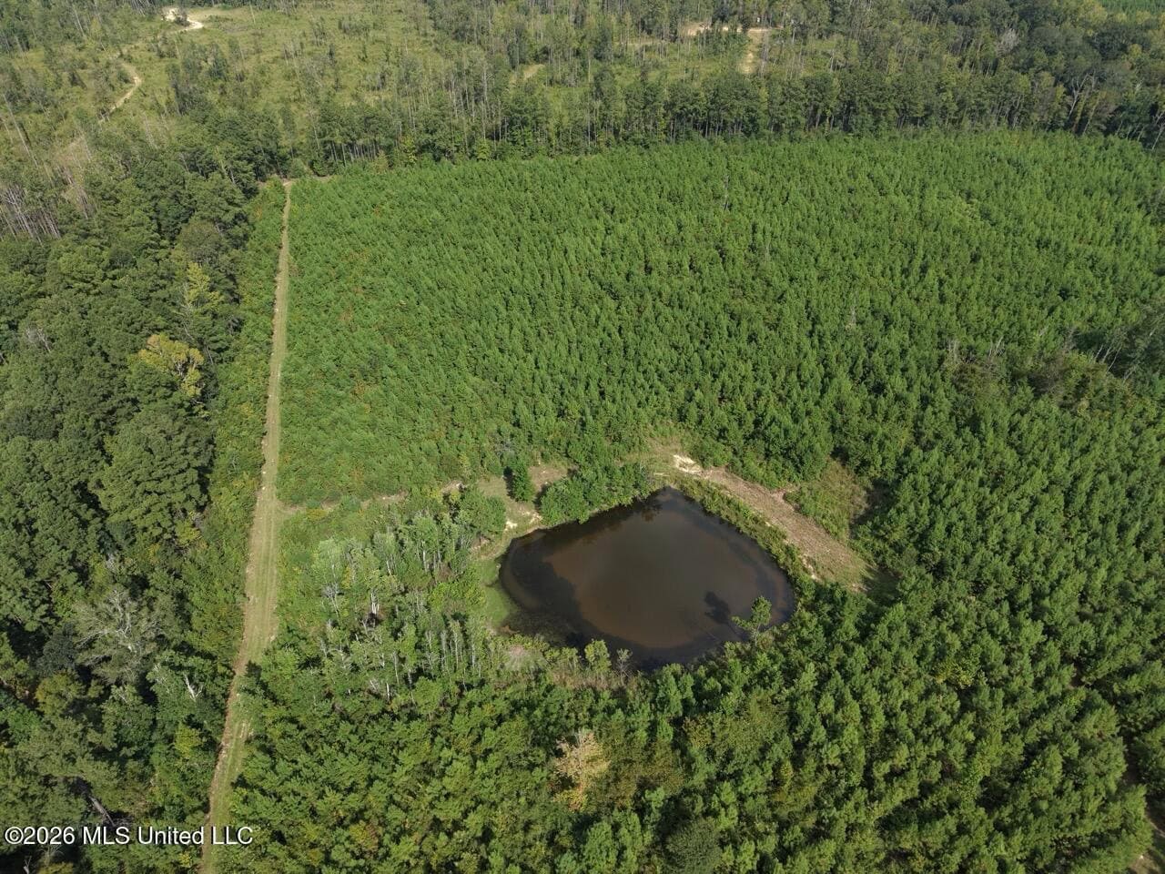 85± Acre Turnkey Hunting Property in Amite County, MS