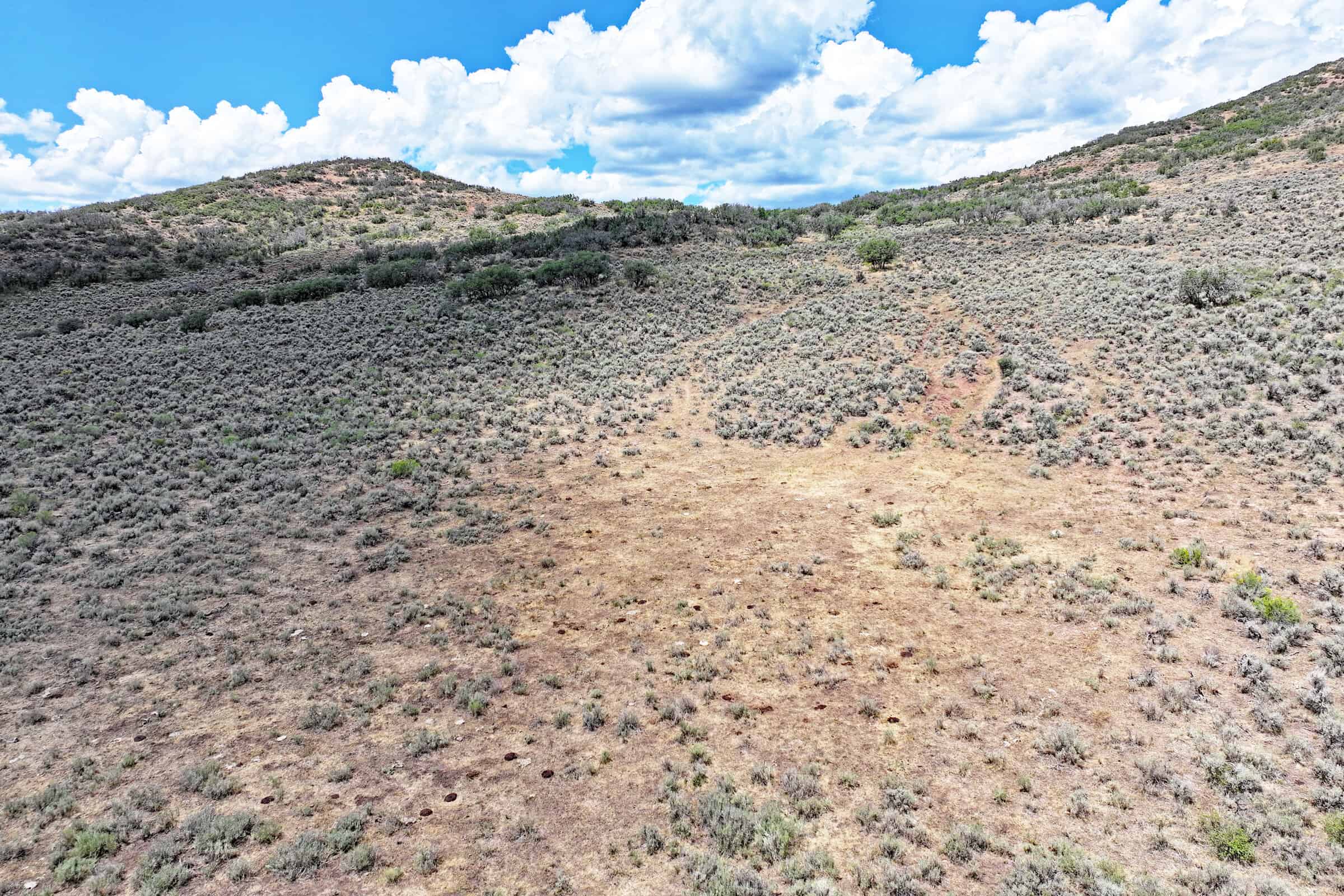 35 Acres Borders Public Land near Collbran, CO