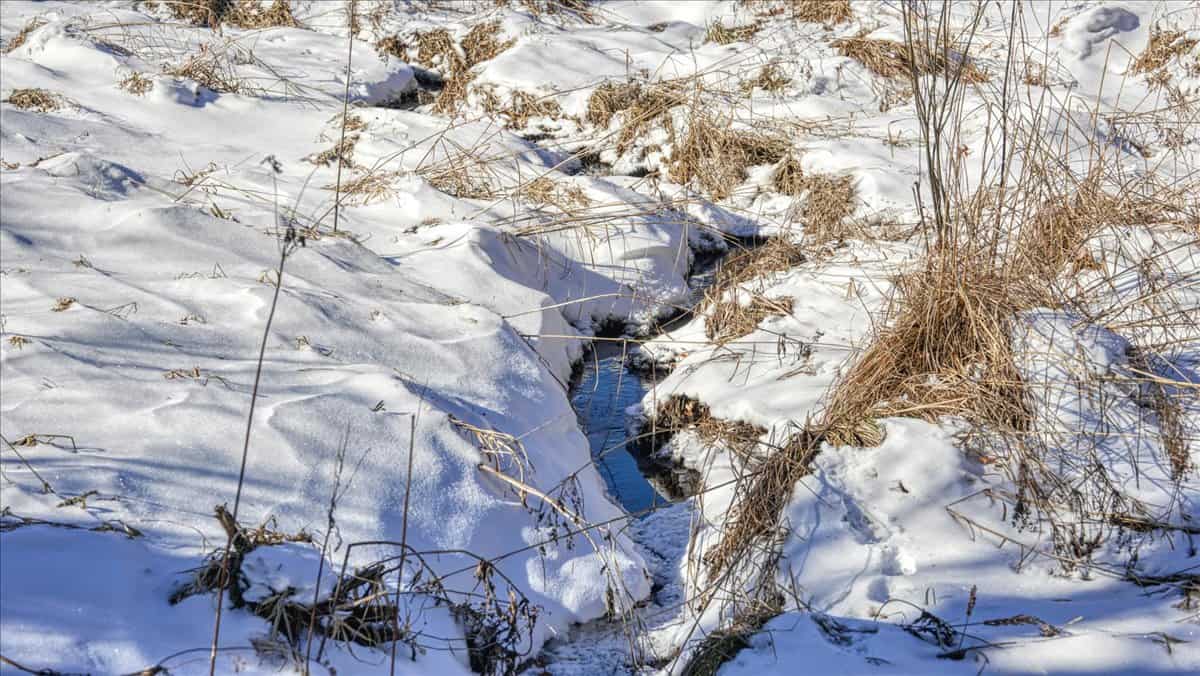 68± Acres of Timber, Water & Recreation | Monroe County, Wisconsin