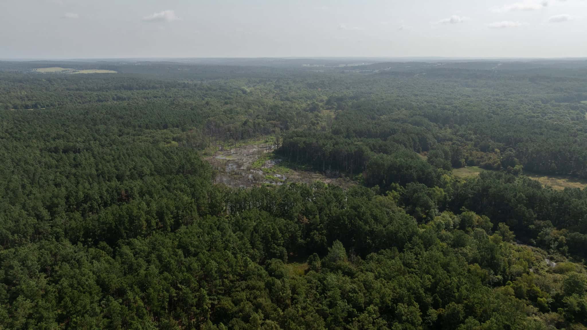 East TX Hunting Land for Sale | 327 Acres | River & Duck Slough | Laneville TX