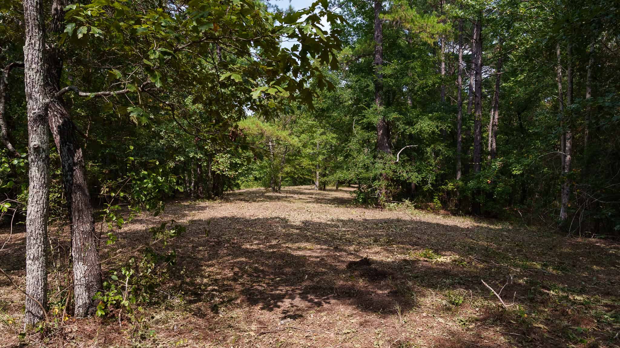East Texas Hunting & Timber Land for Sale in Smith County