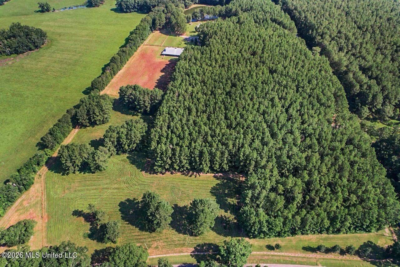 85± Acre Luxury Estate in Poplarville, MS