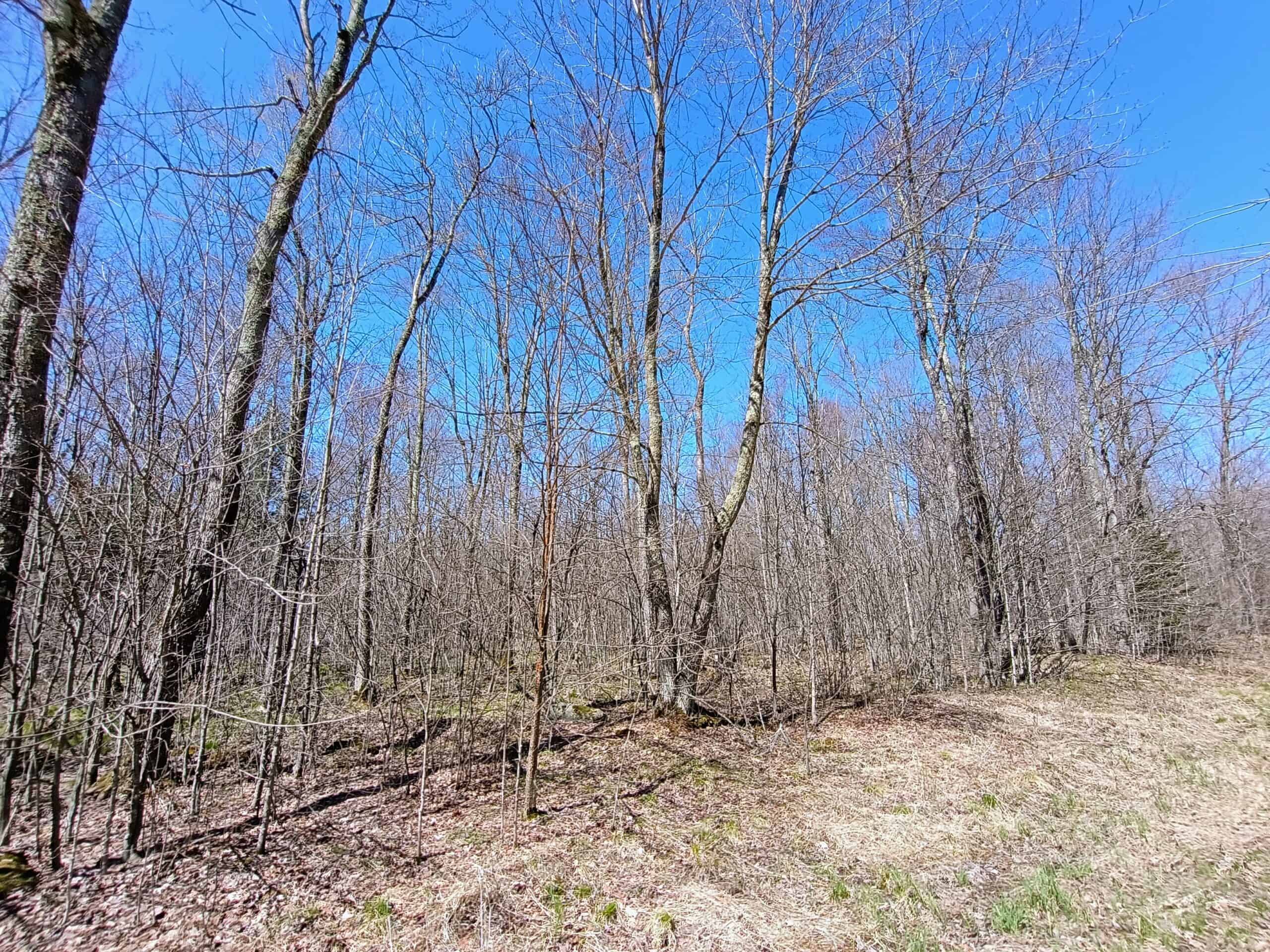 120 ± Acres Bordering Chequamegon National Forest, WI