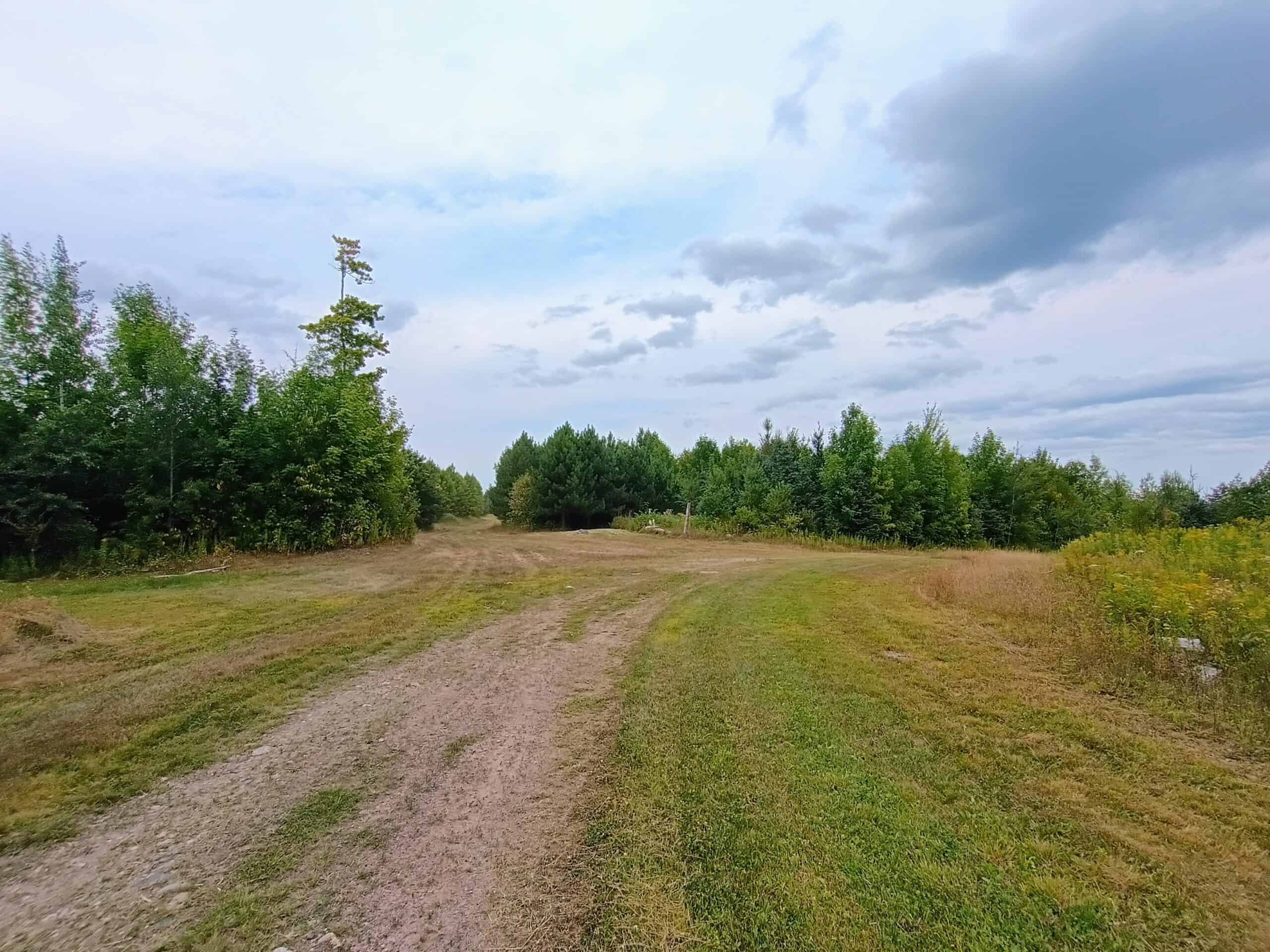 280 ± Acres Near Butternut Lake, WI Recreational Land