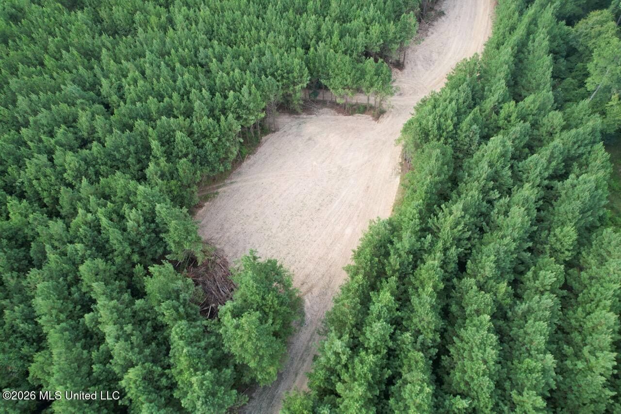 82± Acre Hunting Tract in Meadville, MS