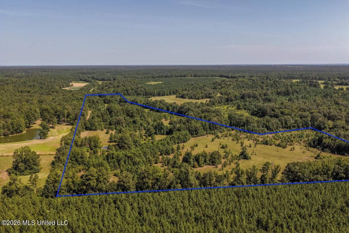 52.25± Acres in Copiah County, MS Near Hazlehurst