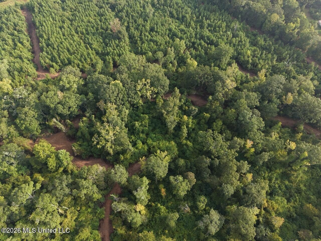 82± Acre Hunting Property in Wilkinson County, MS