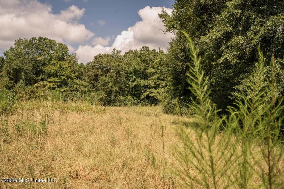 HWY 49 Land for Sale Simpson County, MS