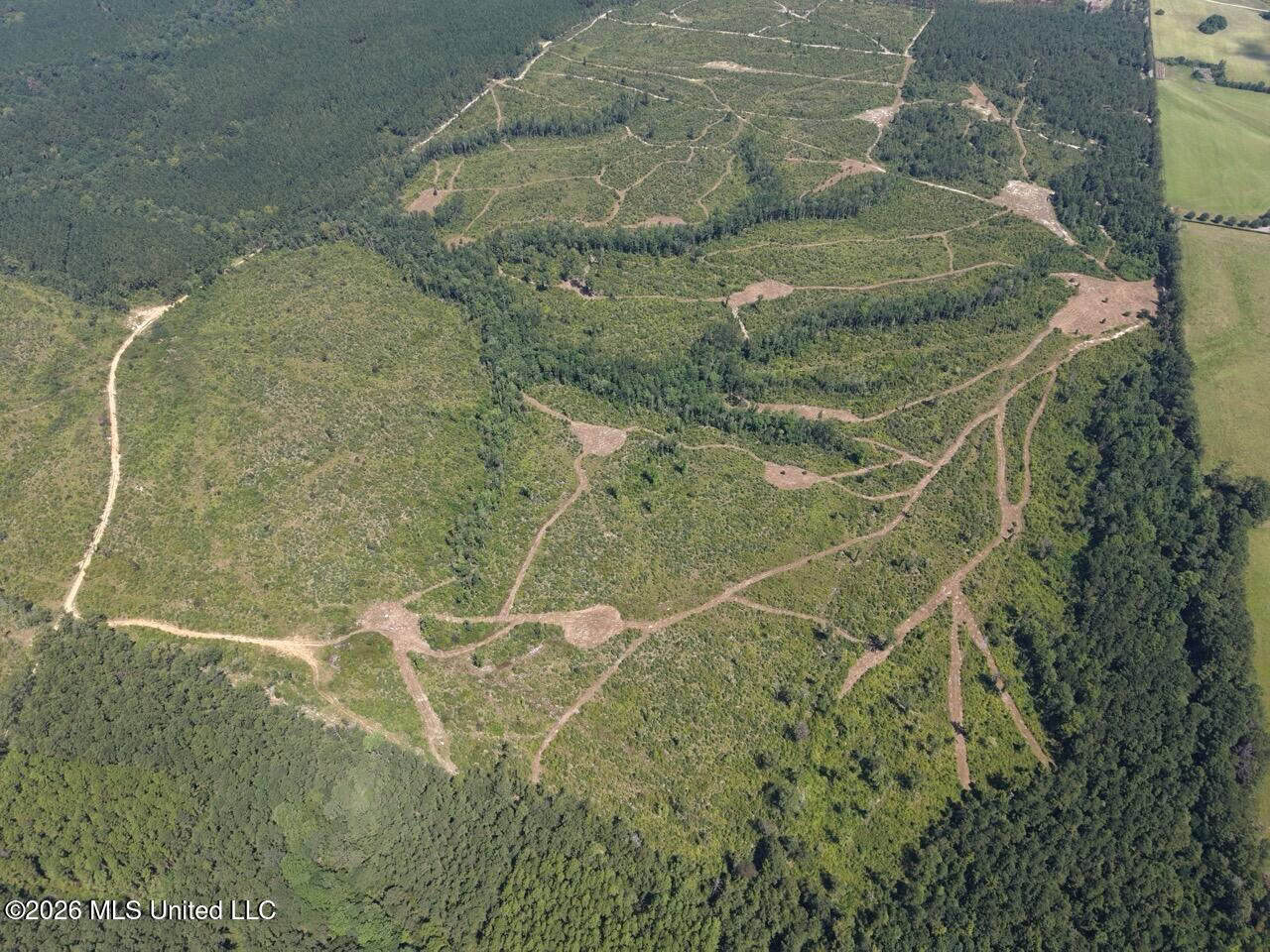 147± Acre Hunting Property in Plainview, LA