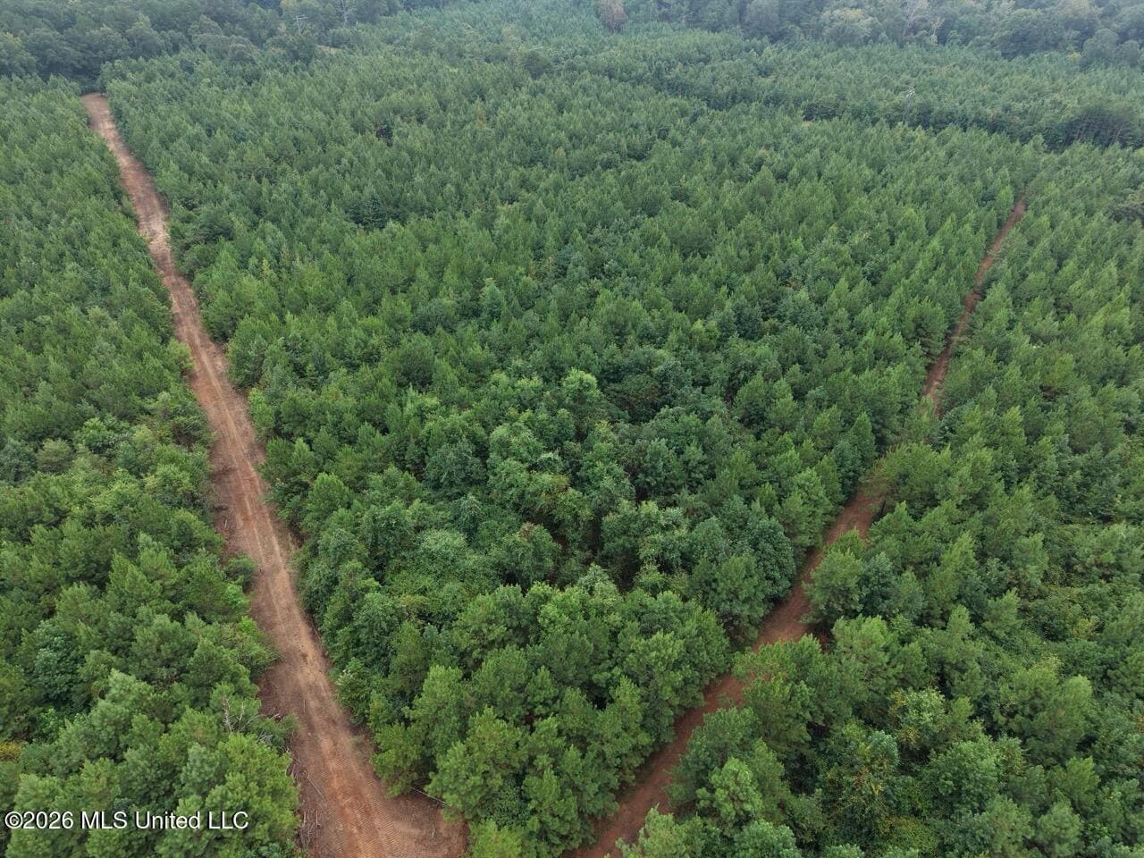 53± Acre Hunting Property Near Centreville, MS