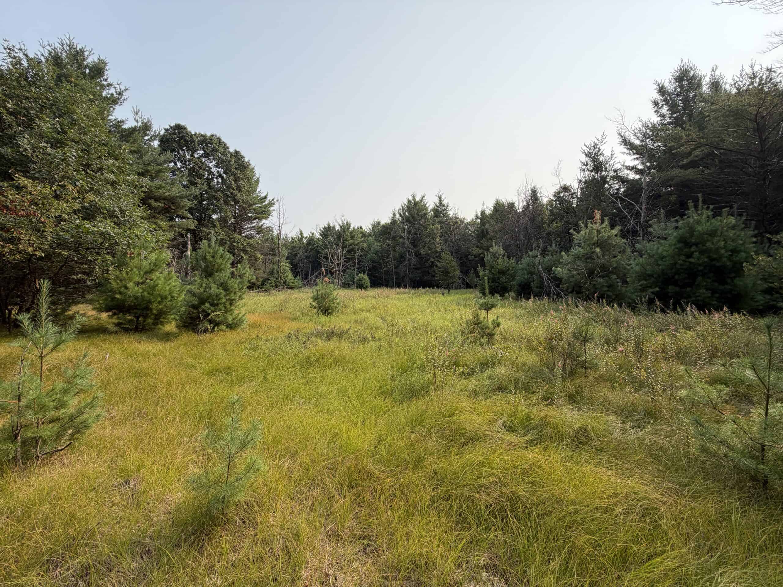 Rare opportunity to own 17.54 wooded acres within the City of Adams