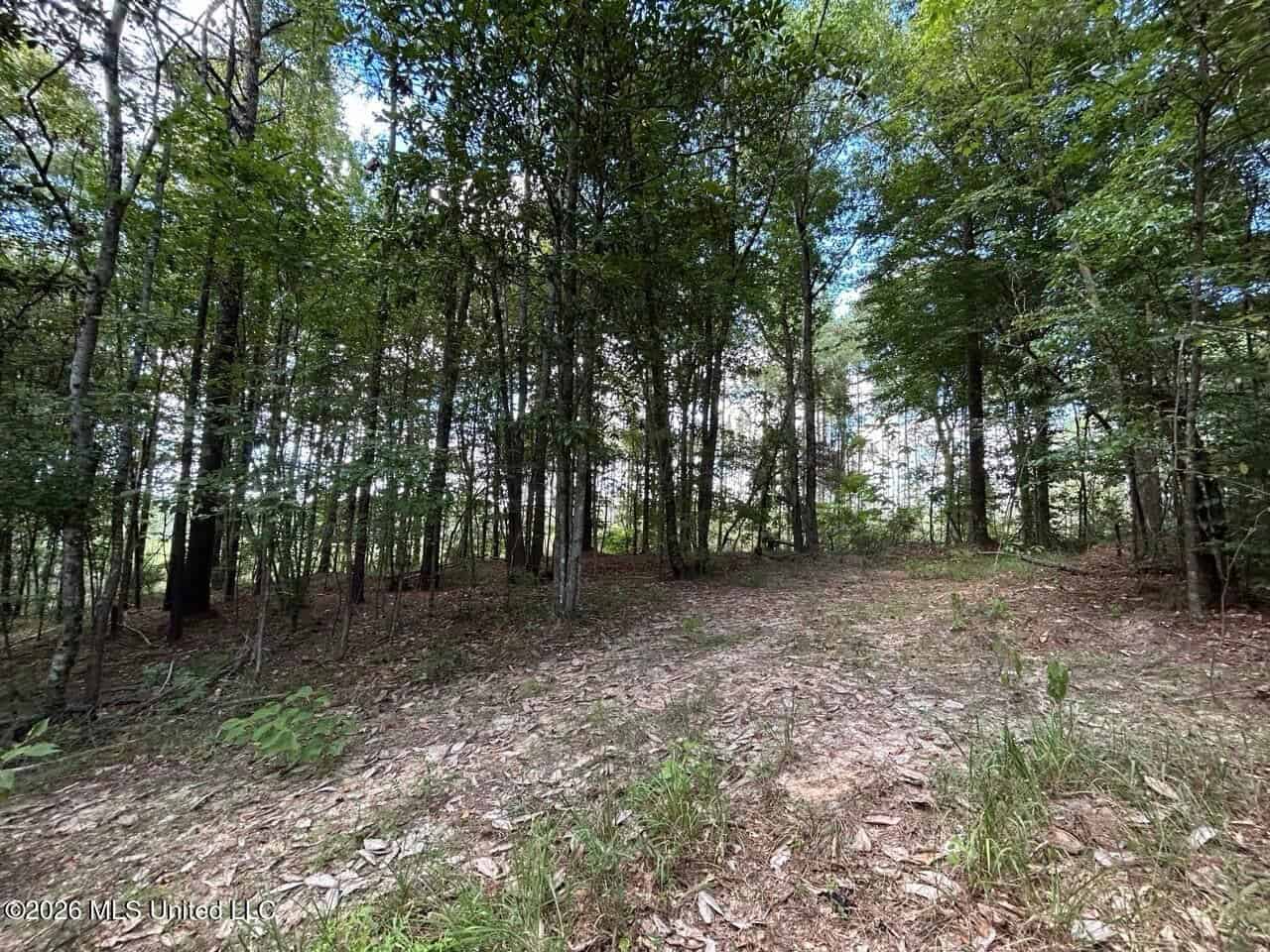 FRANKLIN COUNTY LAND FOR SALE NEAR McCALL CREEK