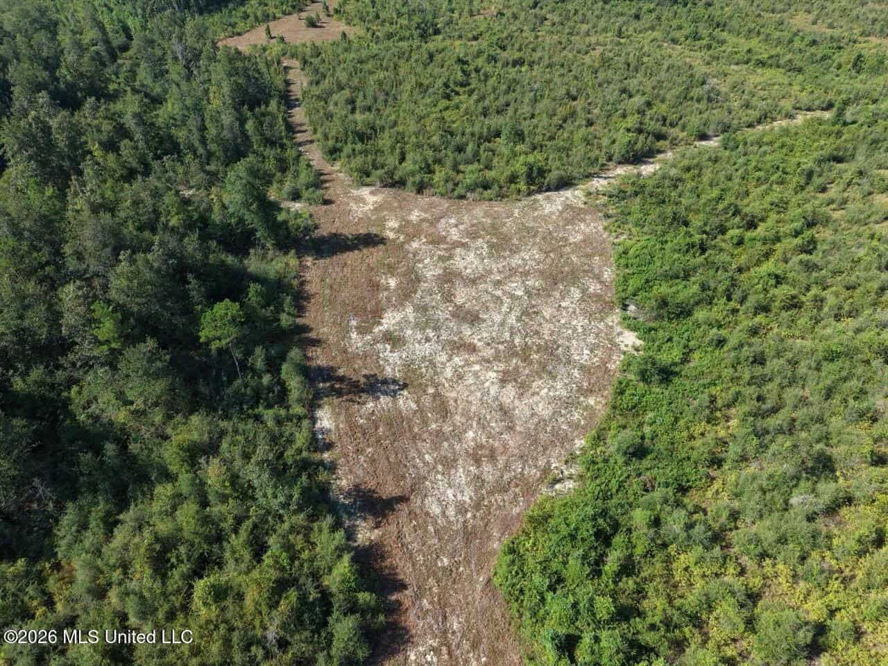 50± Acre Homesite & Hunting Land in Plainview, LA
