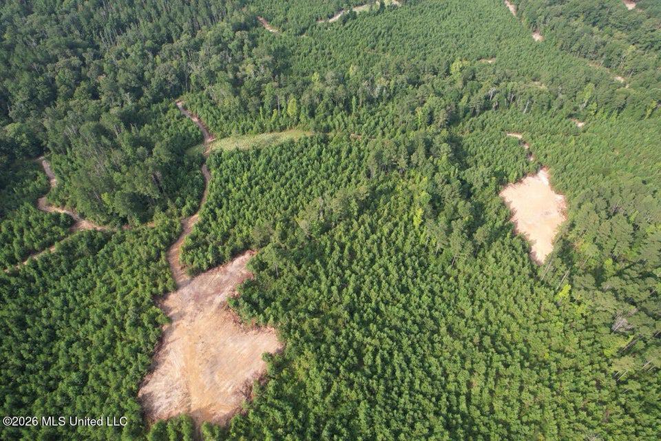 90± Acre Hunting Tract for Sale in Meadville, MS