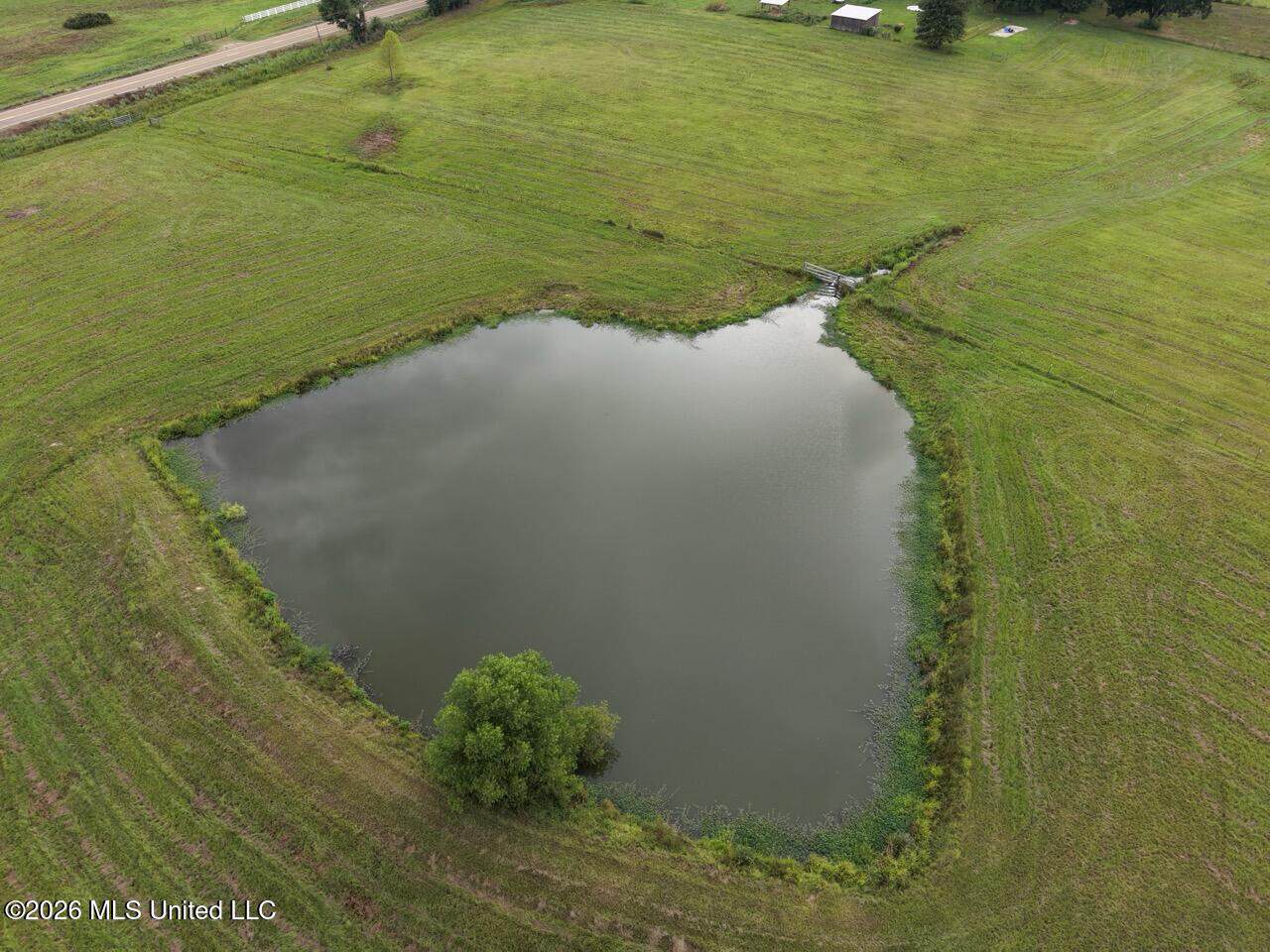 25± Acre Farm & Homesite in Centreville, MS
