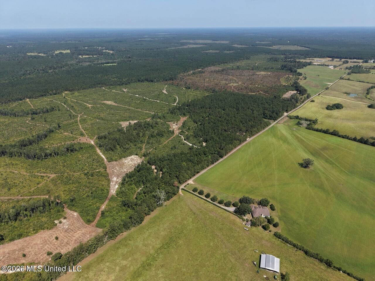 42± Acre Homesite & Hunting Land in Plainview, LA
