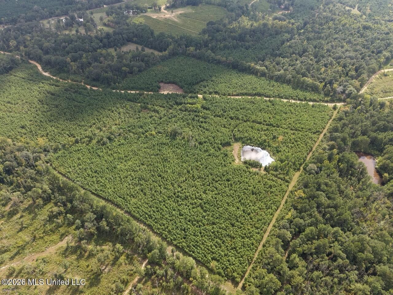 85± Acre Turnkey Hunting Property in Amite County, MS