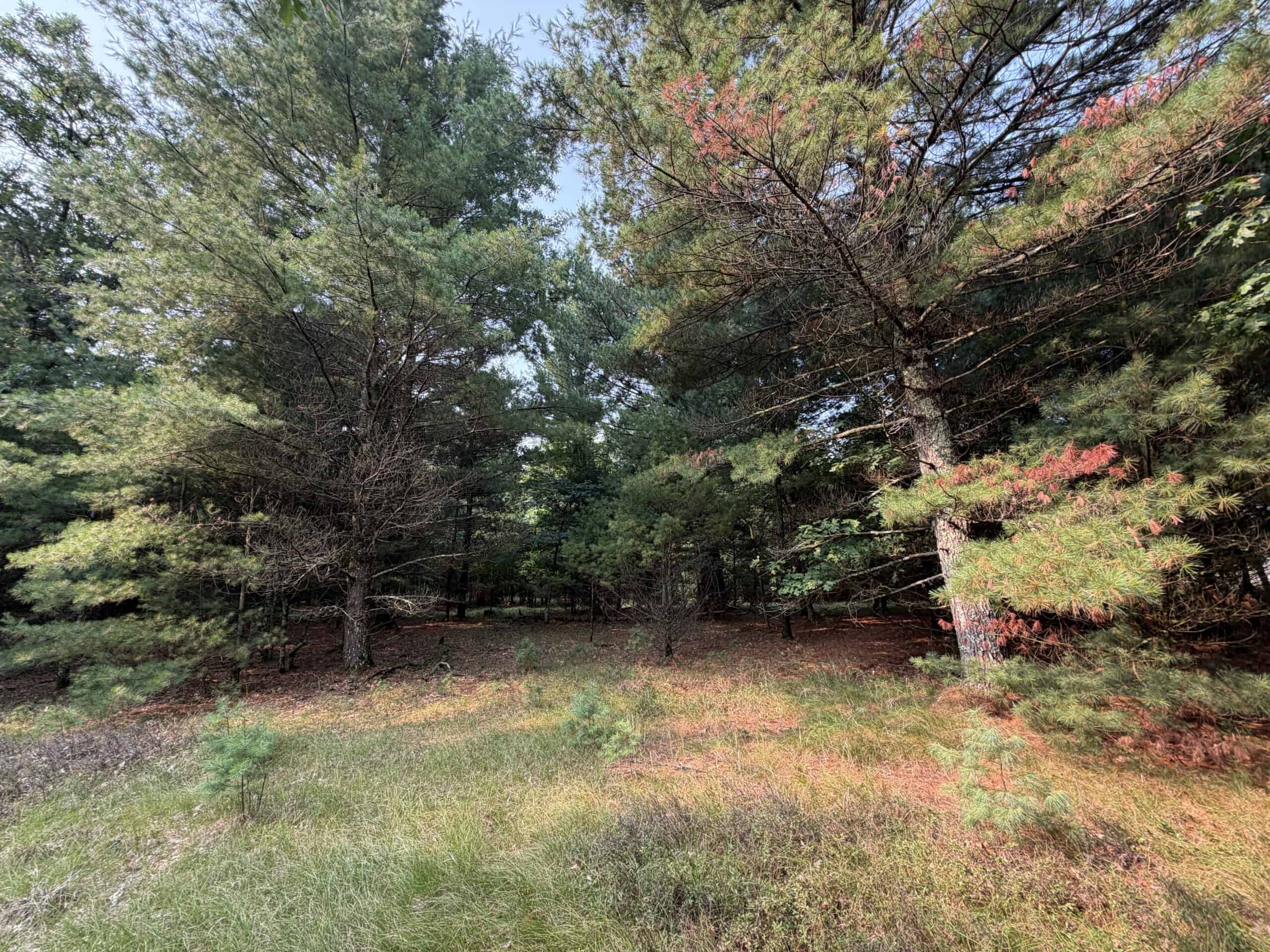 Rare opportunity to own 17.54 wooded acres within the City of Adams