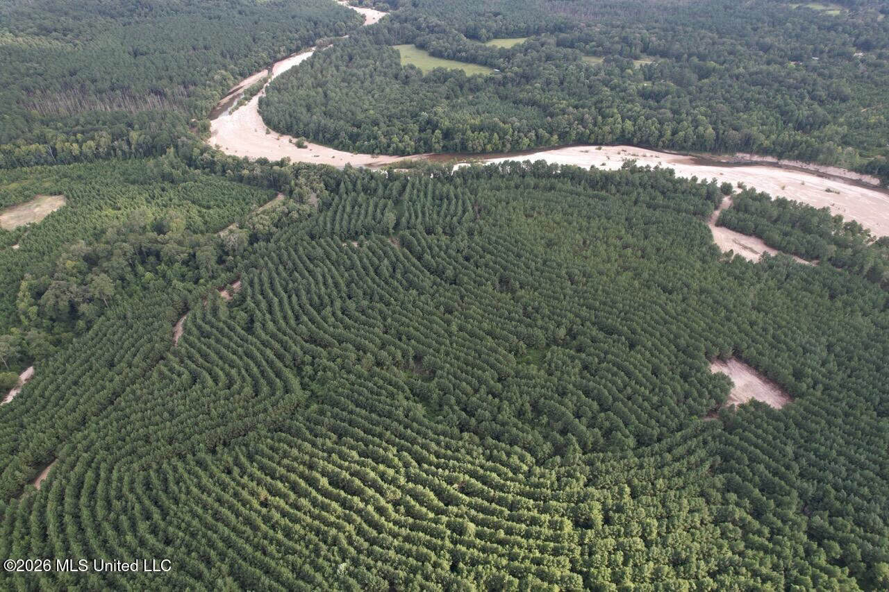 82± Acre Hunting Tract in Meadville, MS