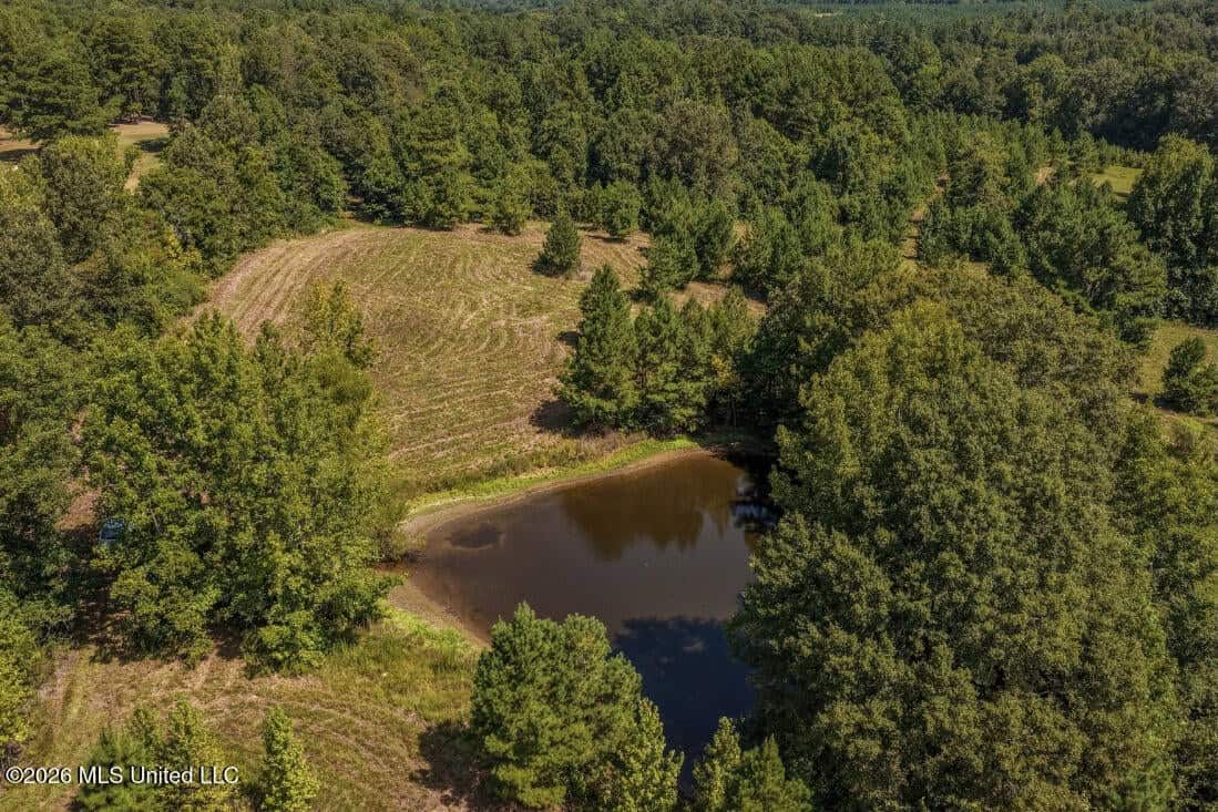 52.25± Acres in Copiah County, MS Near Hazlehurst
