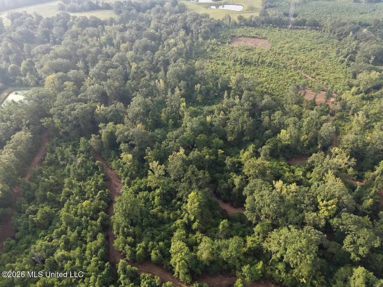 82± Acre Hunting Property in Wilkinson County, MS