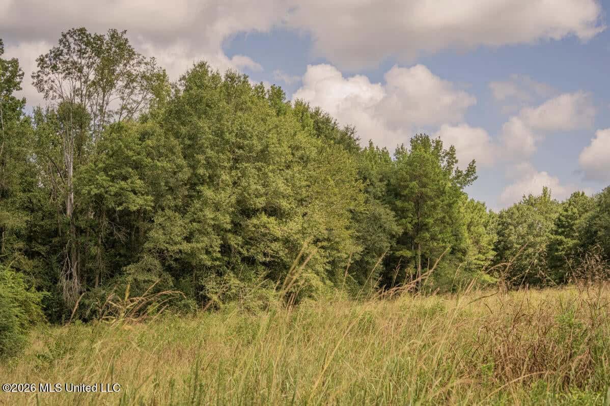 HWY 49 Land for Sale Simpson County, MS