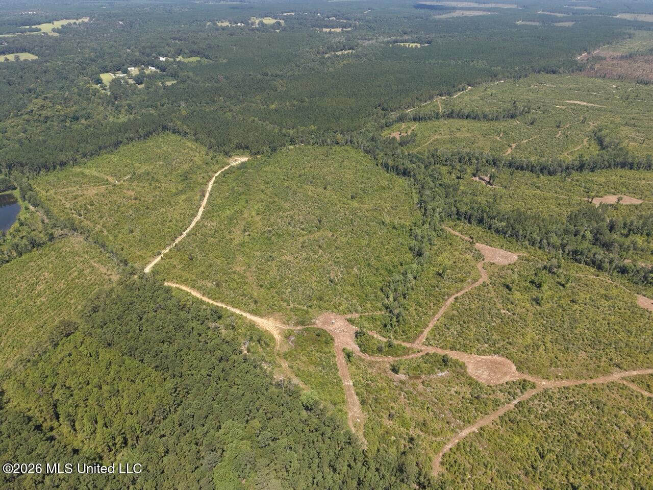 147± Acre Hunting Property in Plainview, LA