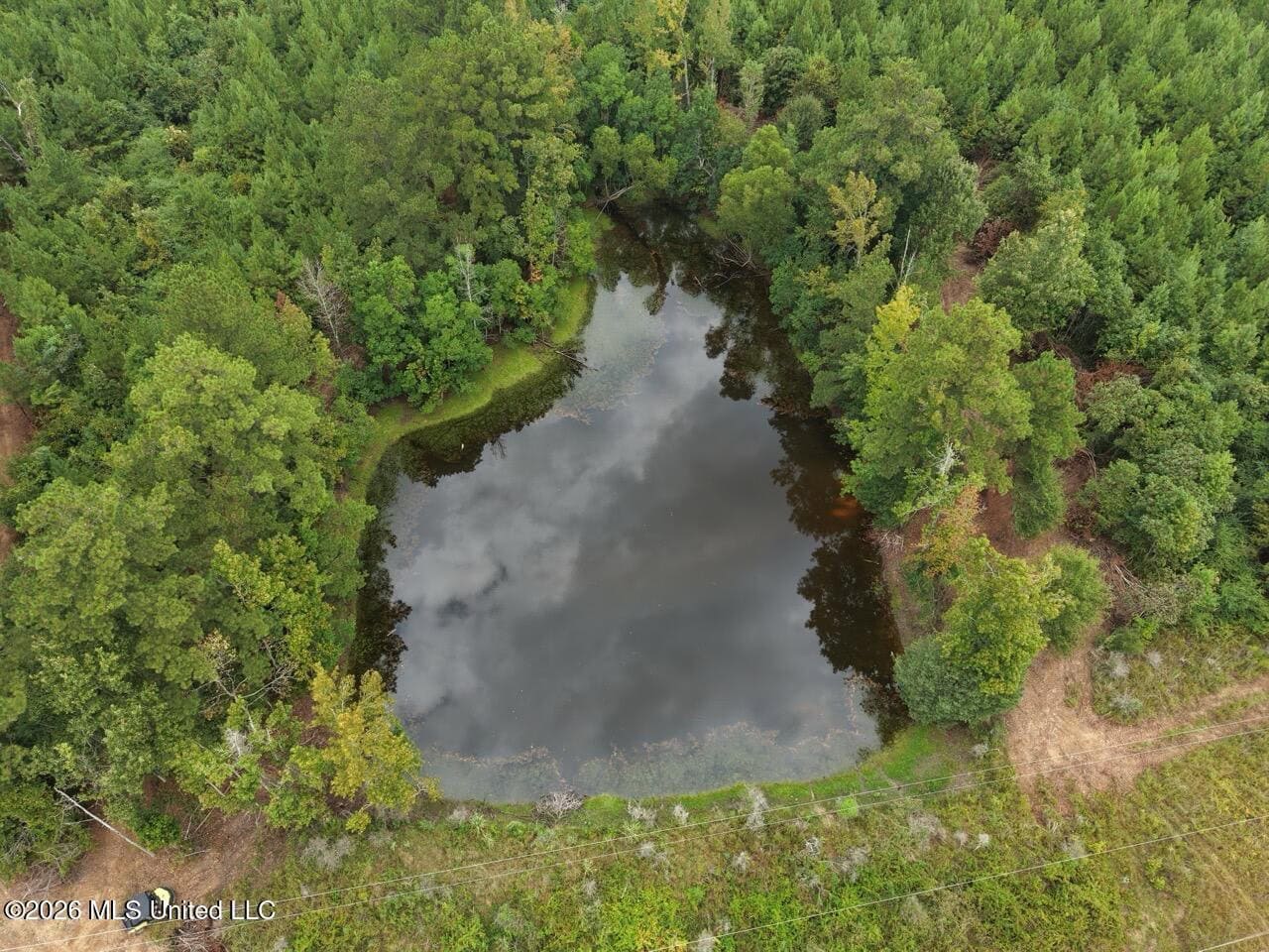 53± Acre Hunting Property Near Centreville, MS