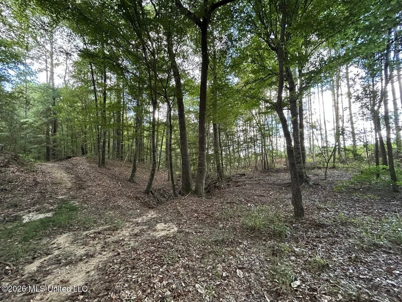 FRANKLIN COUNTY LAND FOR SALE NEAR McCALL CREEK
