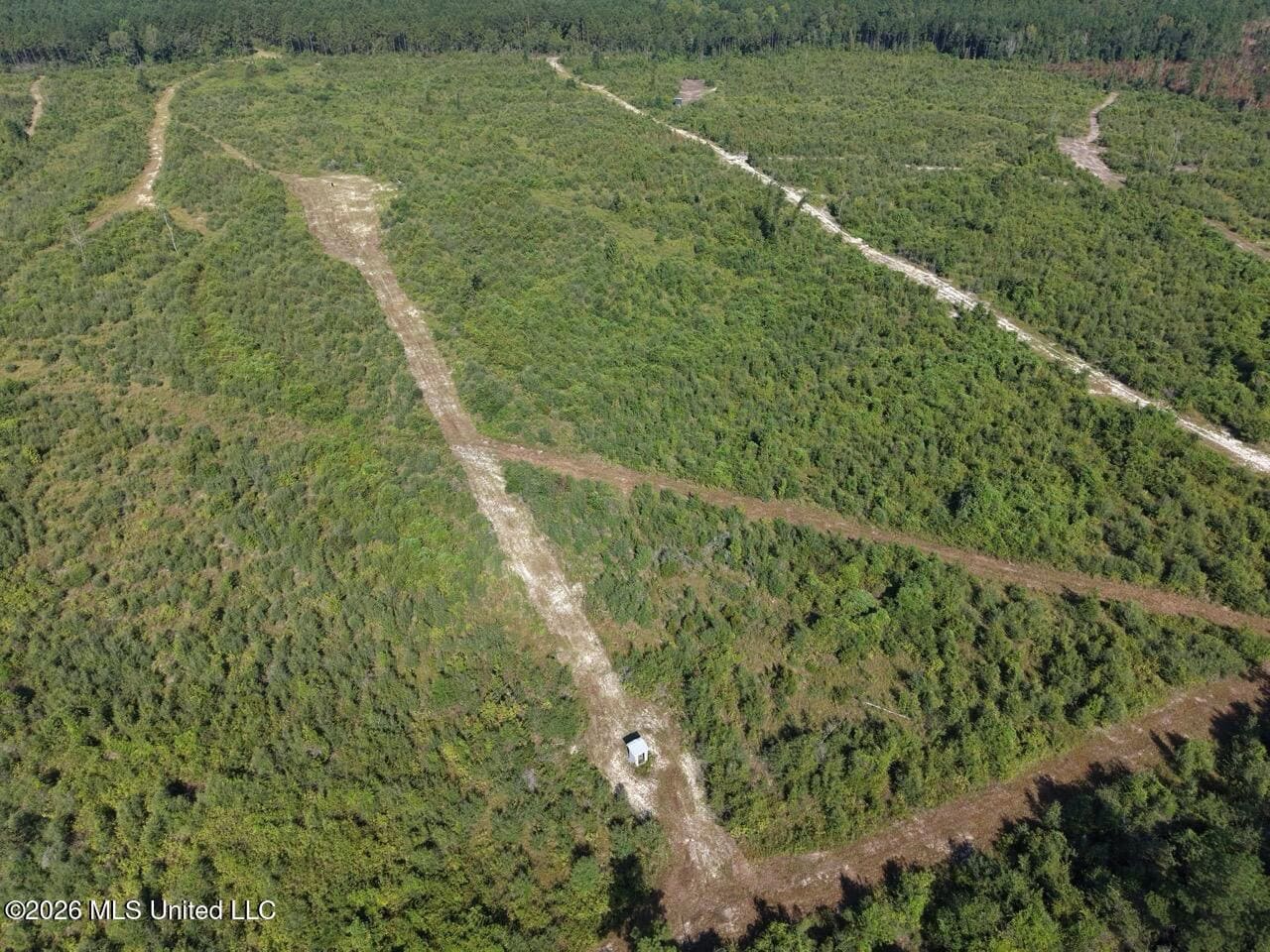 50± Acre Homesite & Hunting Land in Plainview, LA