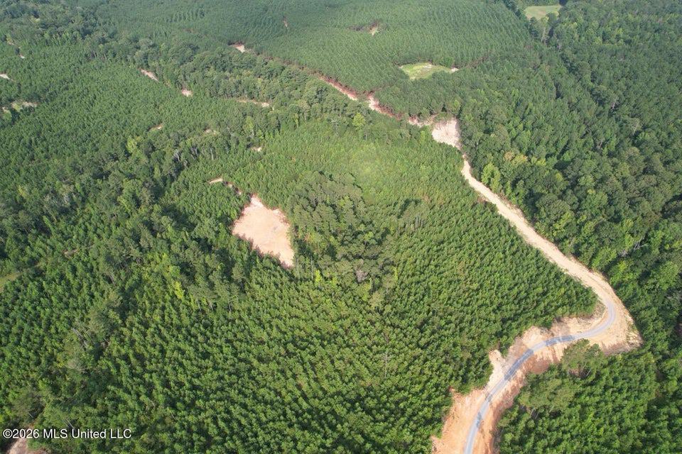 90± Acre Hunting Tract for Sale in Meadville, MS