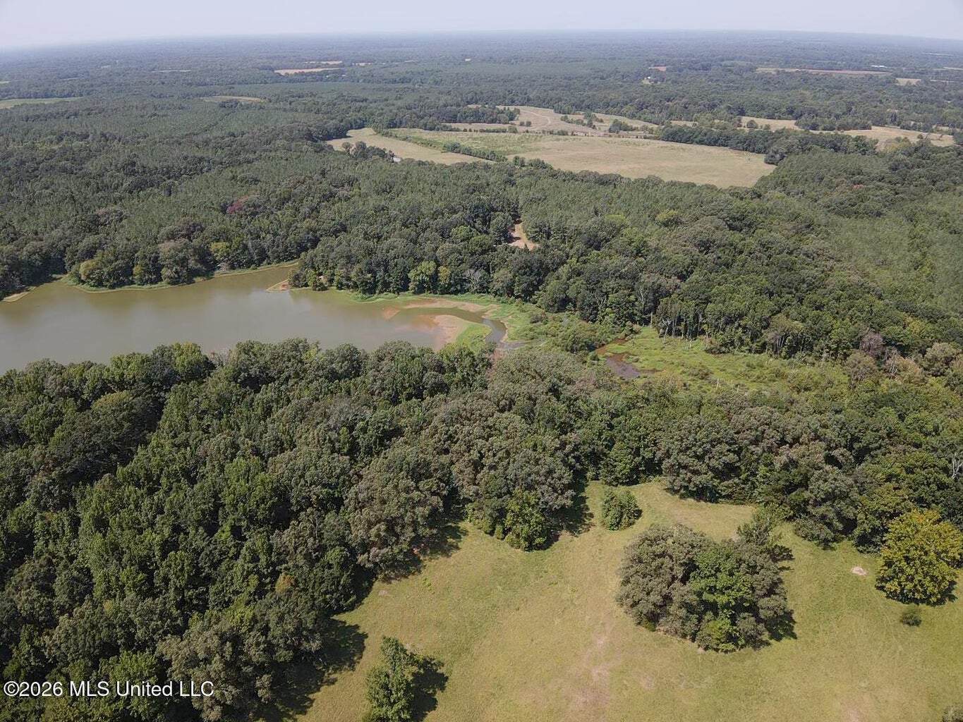 81-Acre Timber Property on 20-Acre Lake in Vaughan, MS