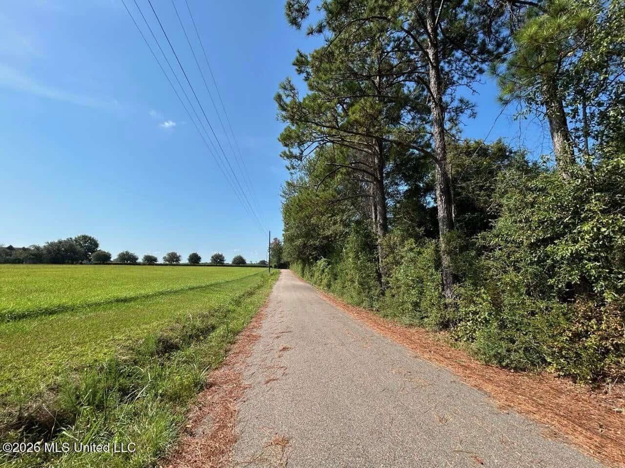 42± Acre Homesite & Hunting Land in Plainview, LA