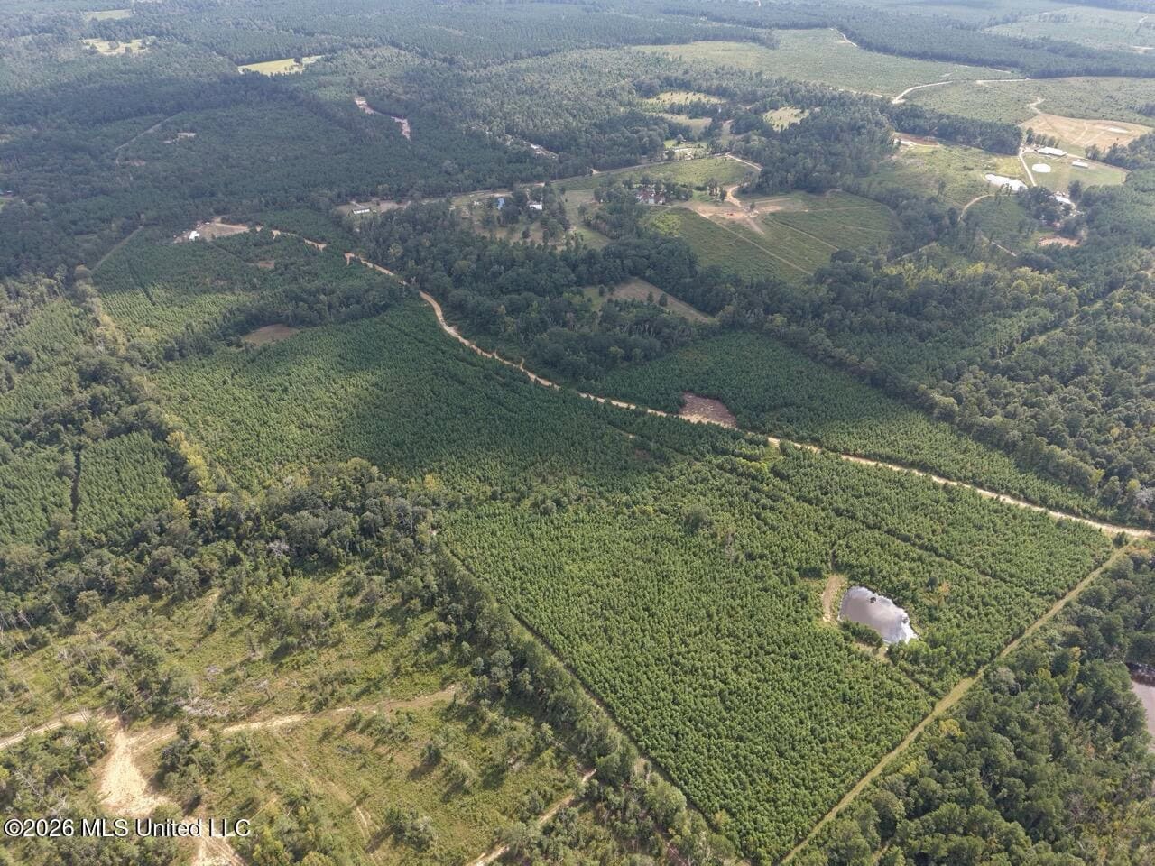 85± Acre Turnkey Hunting Property in Amite County, MS