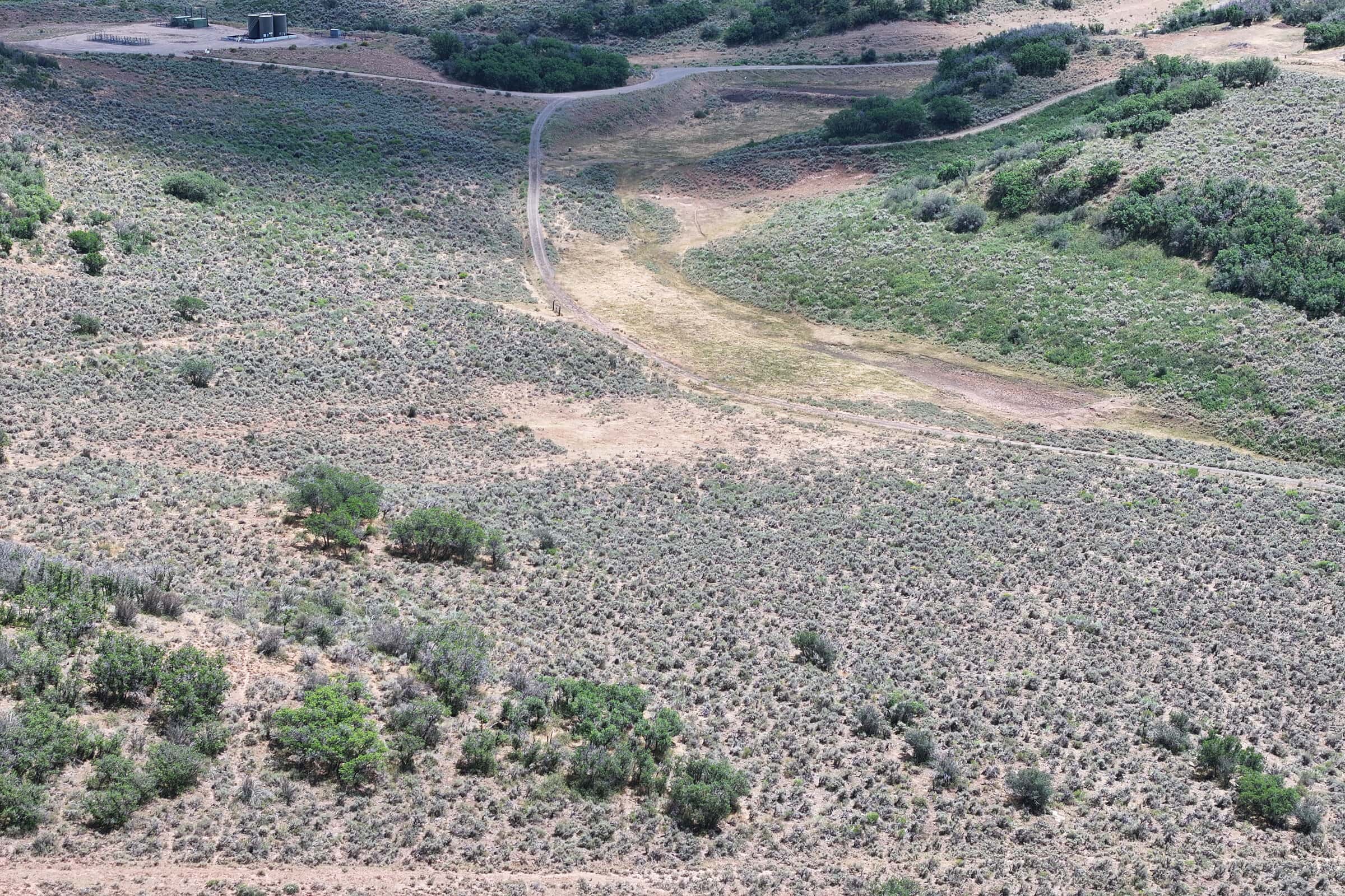 35 Acres Borders Public Land near Collbran, CO