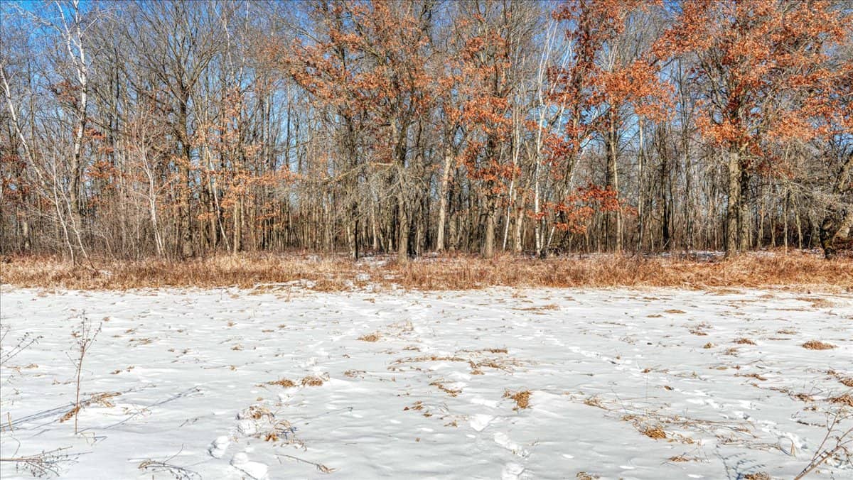 68± Acres of Timber, Water & Recreation | Monroe County, Wisconsin