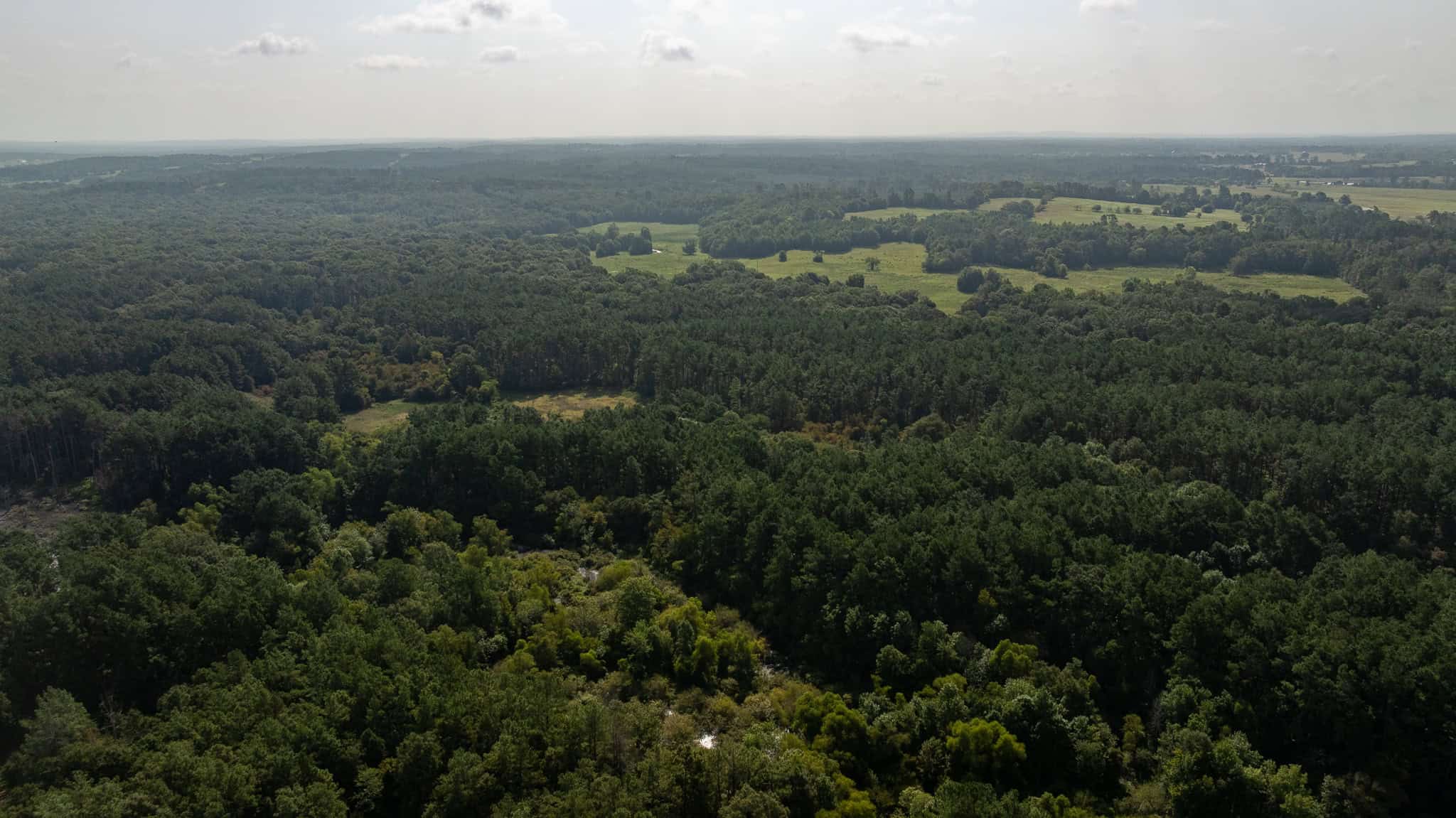 East TX Hunting Land for Sale | 327 Acres | River & Duck Slough | Laneville TX