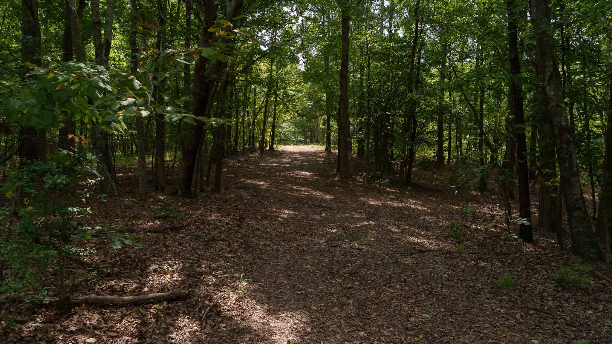 East Texas Hunting & Timber Land for Sale in Smith County