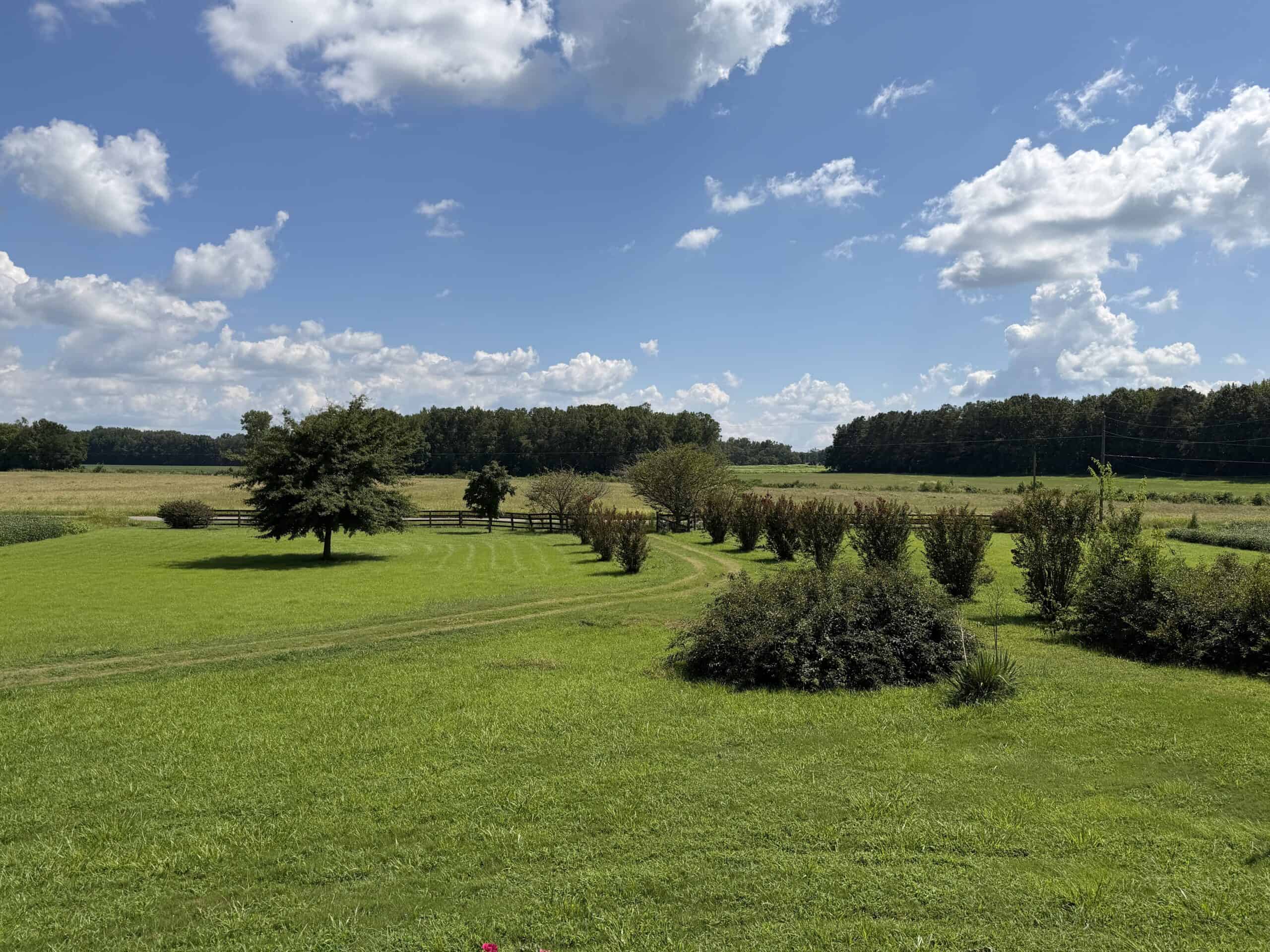 ESTATE FOR SALE IN TN, 56 AC, DEER & TURKEY HUNTING, CREEK, FIELDS, BARN