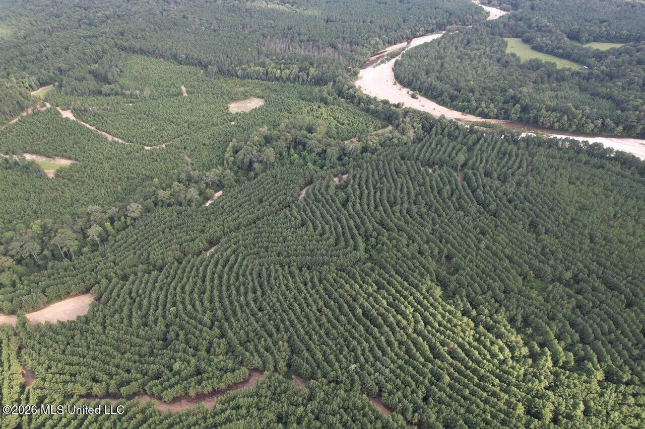 82± Acre Hunting Tract in Meadville, MS