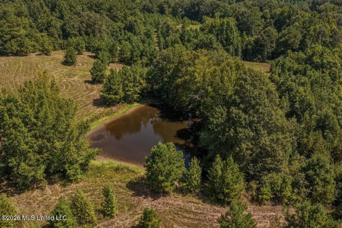 52.25± Acres in Copiah County, MS Near Hazlehurst