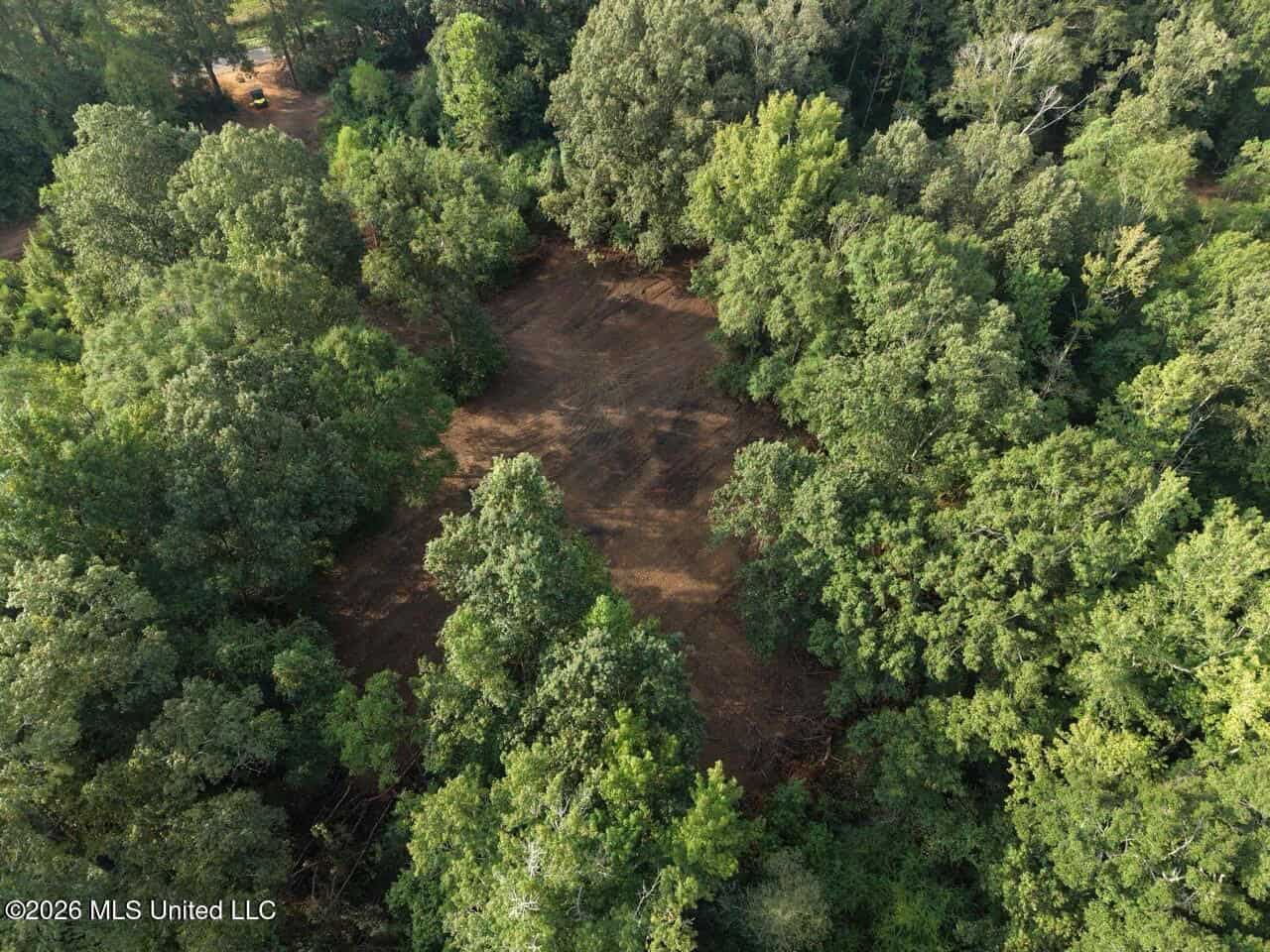 82± Acre Hunting Property in Wilkinson County, MS
