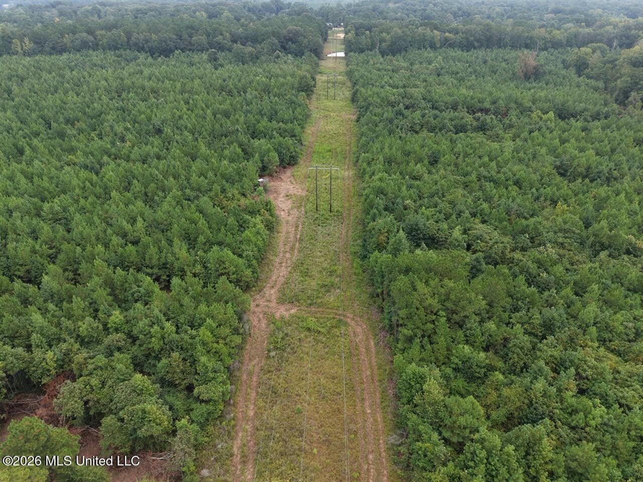 53± Acre Hunting Property Near Centreville, MS