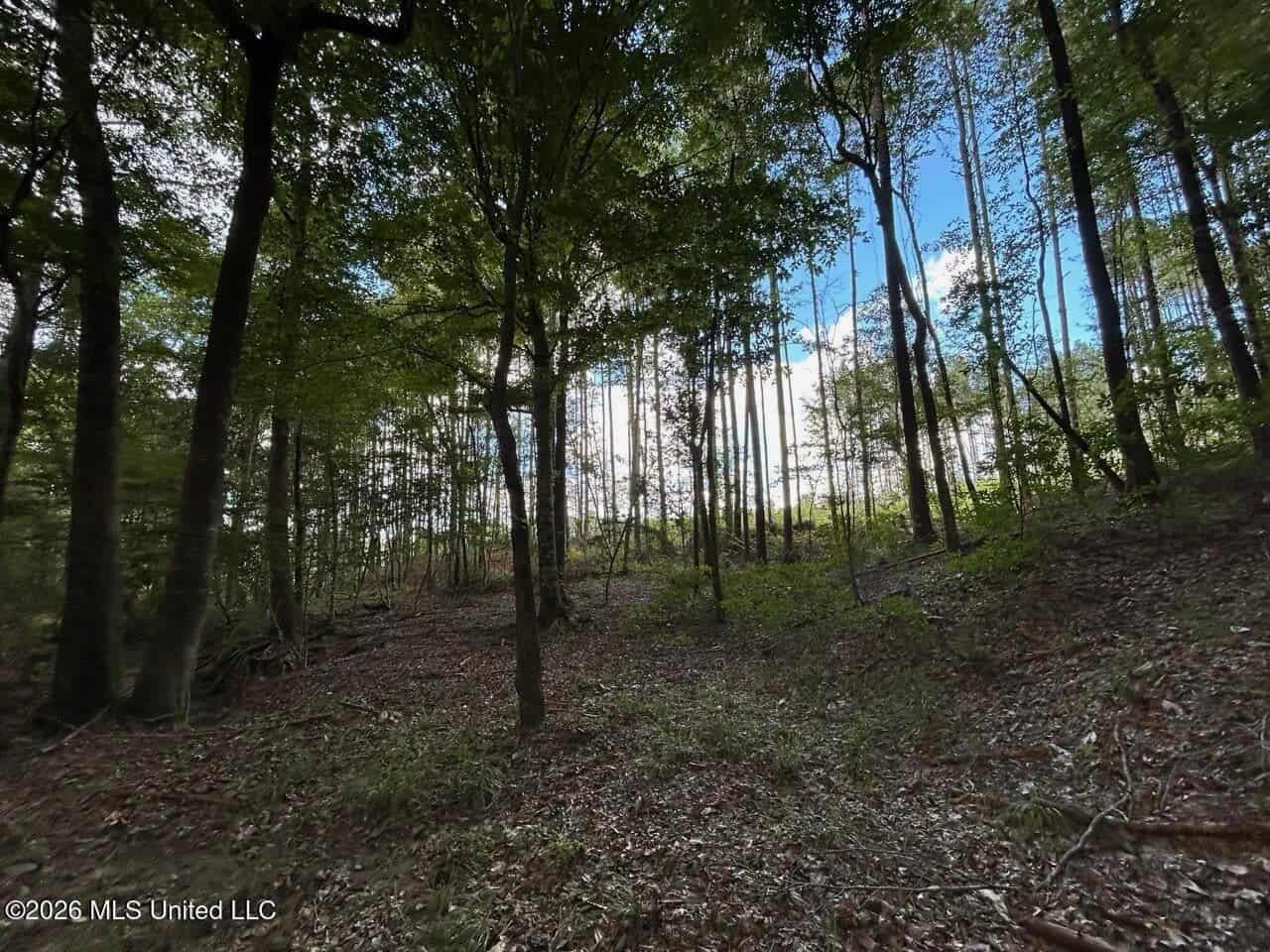 FRANKLIN COUNTY LAND FOR SALE NEAR McCALL CREEK