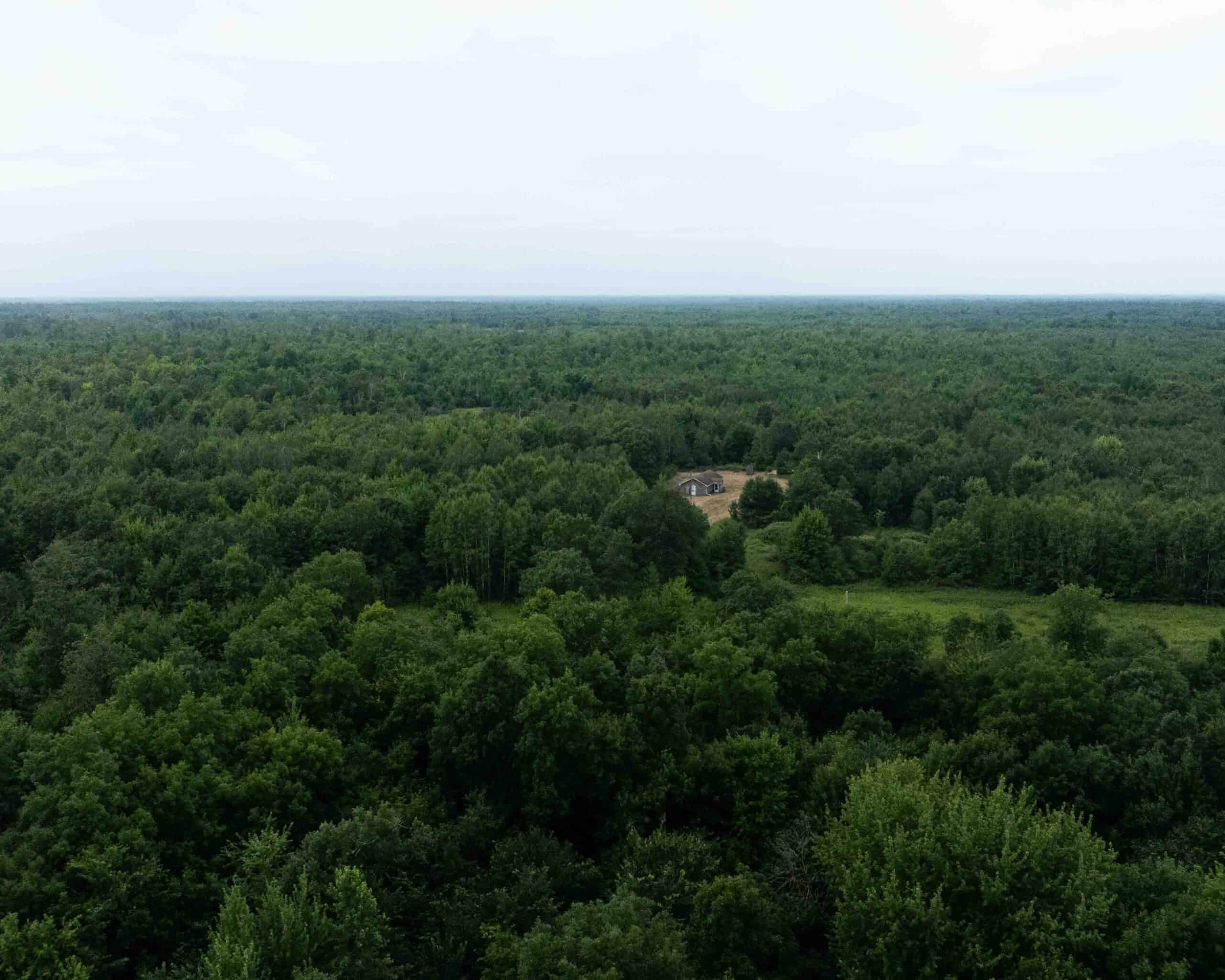 Juneau County WI 80 Acre Camp For Sale
