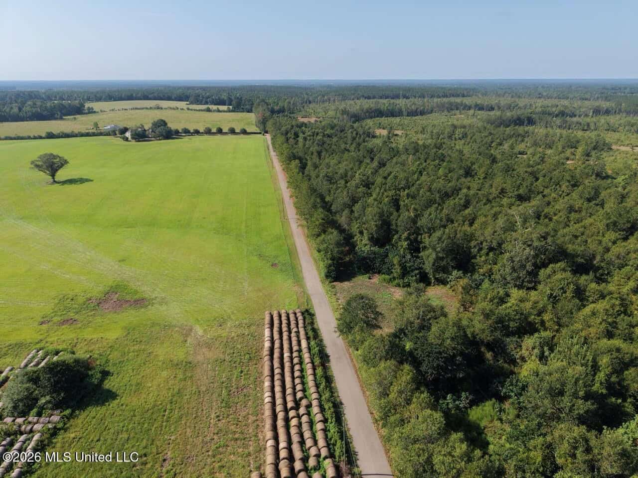 50± Acre Homesite & Hunting Land in Plainview, LA