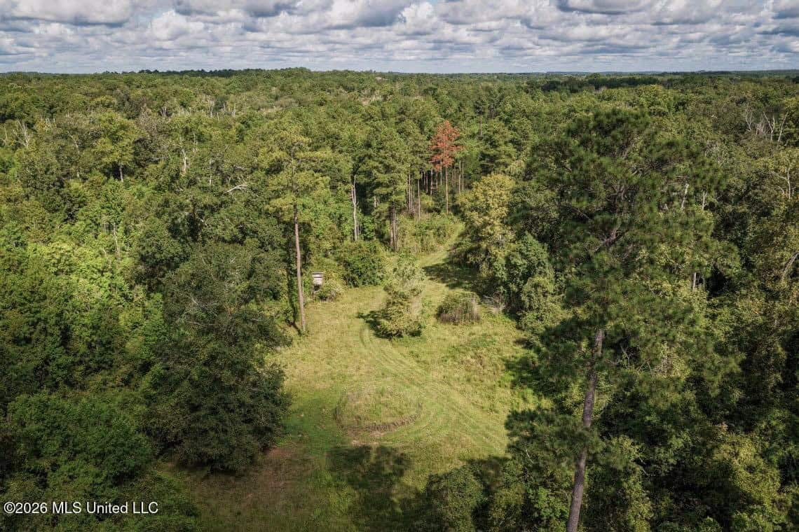 150 Acres for Sale in Magnolia MS on Tangipahoa River
