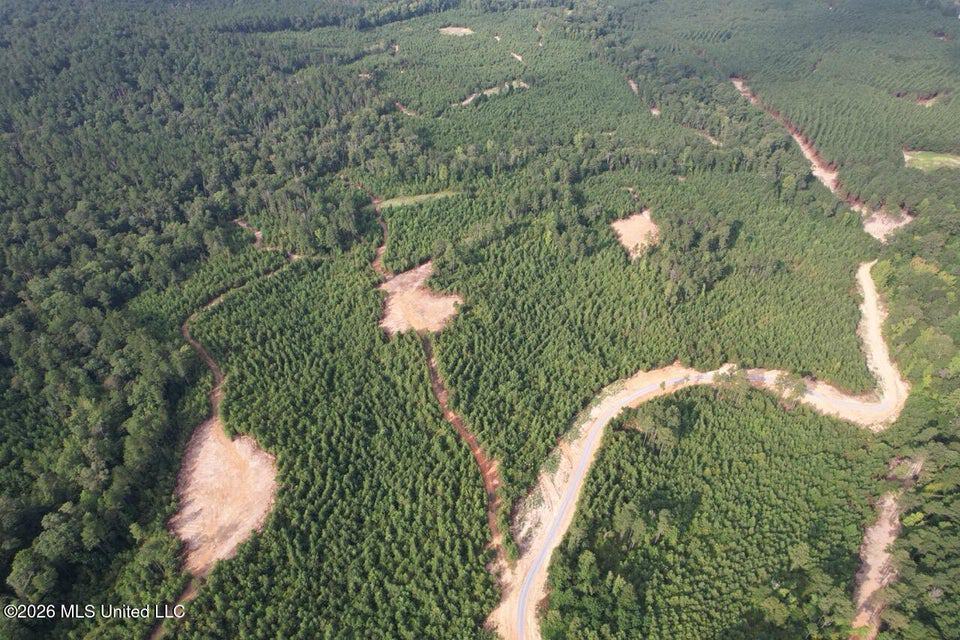 90± Acre Hunting Tract for Sale in Meadville, MS